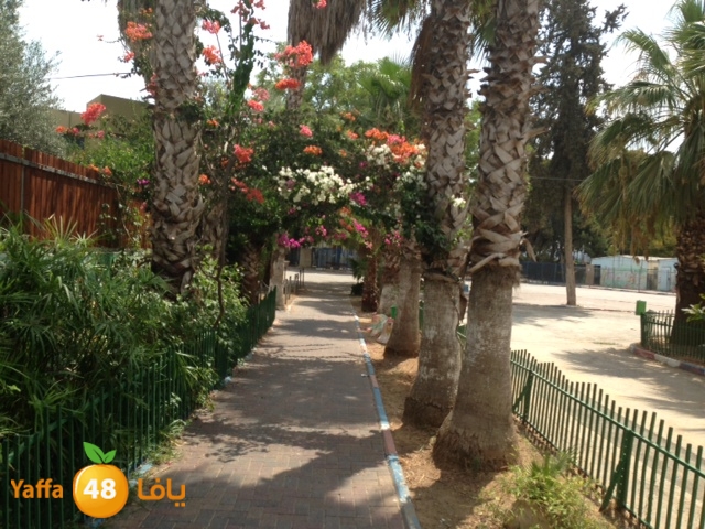 af3a lud 902 school (2).JPG